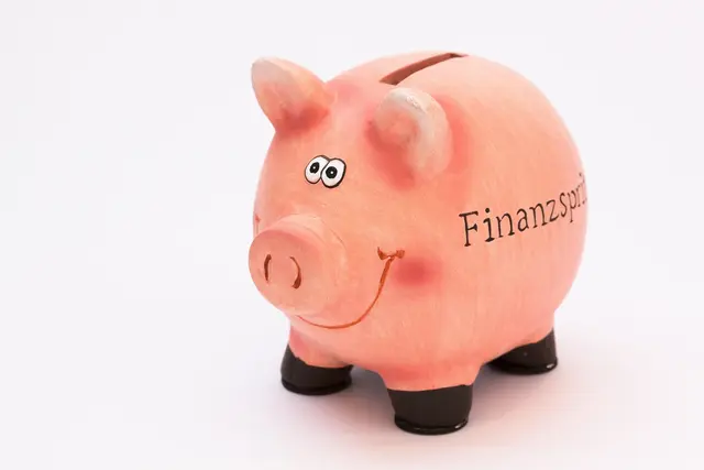 Die Obersteirer sind fleißig Sparer, wie die Steiermärkische Sparkasse analysiert. | Foto: pixabay / stux