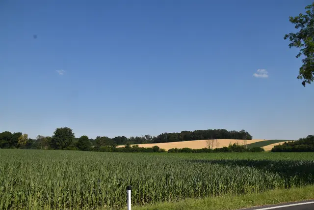 Südöstlich von Rechnitz könnten in den kommenden Jahren erste Windräder errichtet werden. | Foto: MeinBezirk/Michael Strini