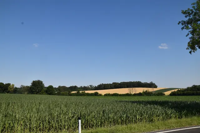 Foto: MeinBezirk/Michael Strini