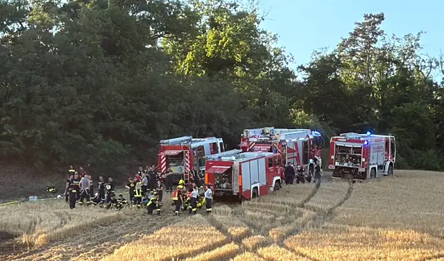 Abends konnte "Brand aus" gegeben werden. | Foto: DOKU NÖ