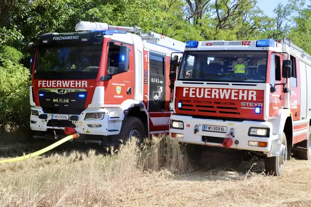 Mehr als 120 Feuerwehrmitglieder aus zehn Feuerwehren standen bei dem Großbrand zwischen dem Flughafen Wien und der B10 im Einsatz. | Foto: FF Schwechat & FF Mannswörth