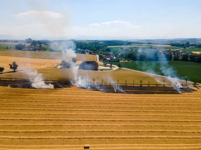 Foto: Fotokerschi/Daniel Neulinger