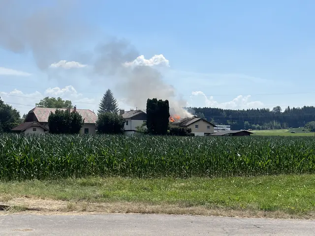 Foto: MeinBezirk/Steiner-Watzinger