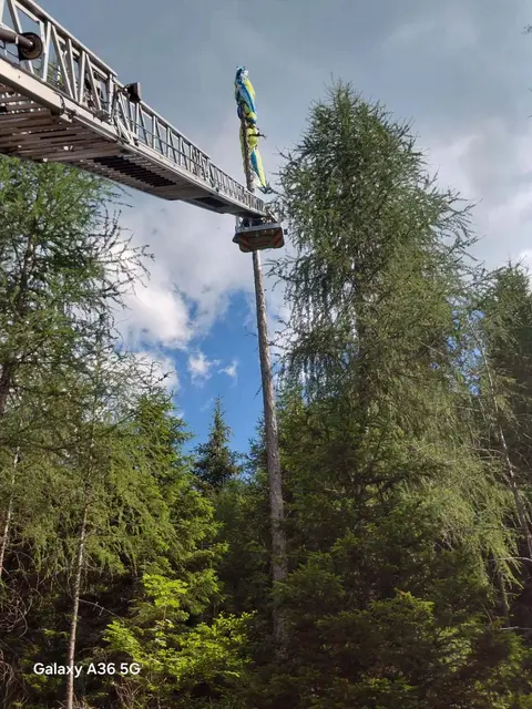 Ein Paragleiter hängt in einem Baum fest
