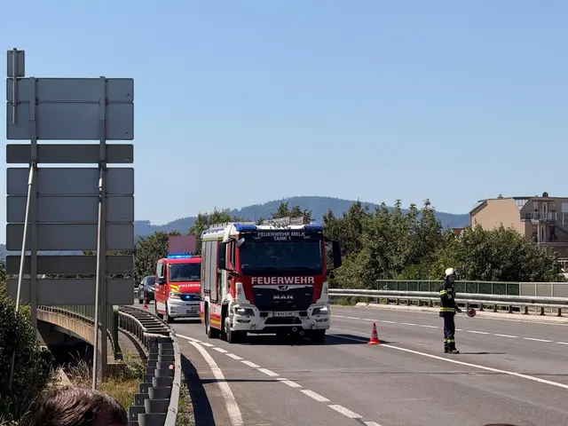 Die Feuerwehr reinigte die Fahrbahn von Fahrzeugteilen und ausgelaufenen Betriebsmitteln. | Foto: DOKU-NÖ