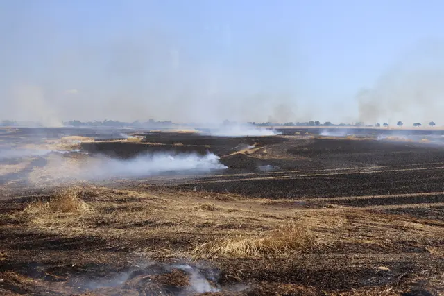 Eine weithin sichtbare Rauchsäule kündigte das Ausmaß des Feldbrandes bereits während der Anfahrt der Einsatzkräfte an. | Foto: FF Schwechat & FF Mannswörth