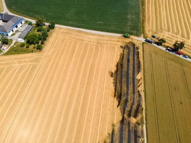Foto: Fotokerschi/Daniel Neulinger