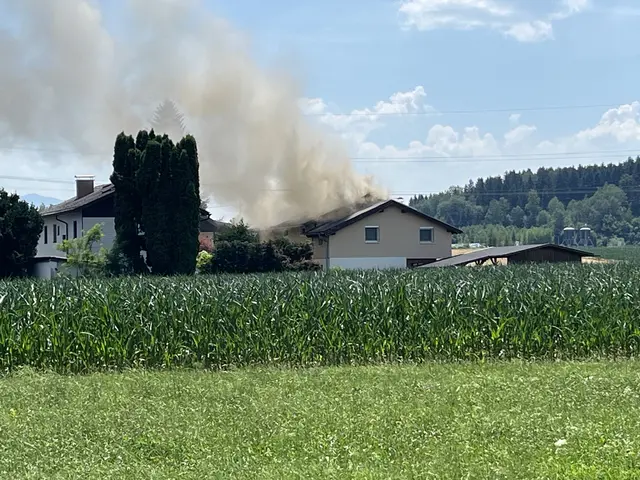 Foto: MeinBezirk/Steiner-Watzinger