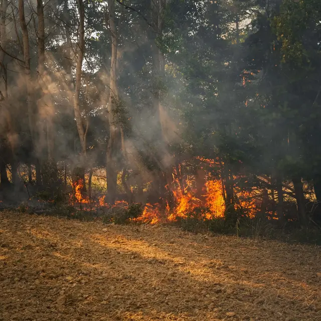 Foto: Feuerwehr Oberpullendorf