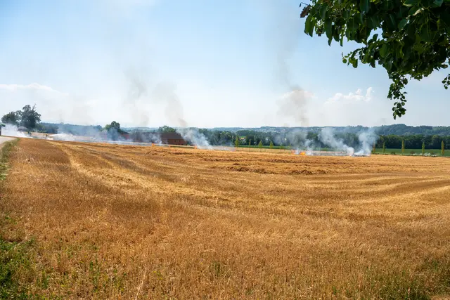 Foto: Fotokerschi/Daniel Neulinger