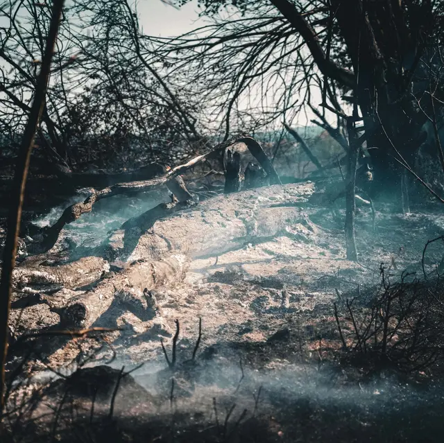 Foto: Feuerwehr Oberpullendorf