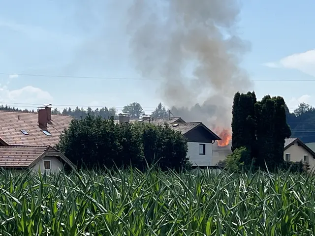 Foto: MeinBezirk/Steiner-Watzinger