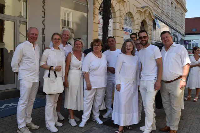 Bei Baden in Weiß unterwegs: die Vizebürgermeister, Stadt- und Gemeinderäte, Wienerwaldtourismus und WKNÖ. | Foto: Mirjam Preineder