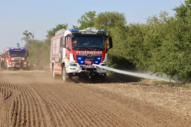 Mit zahlreichen Löschfahrzeugen kämpften die Feuerwehren stundenlang gegen die Flammen. | Foto: FF Schwechat & FF Mannswörth