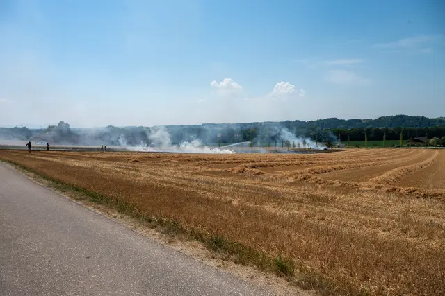 Foto: Fotokerschi/Daniel Neulinger