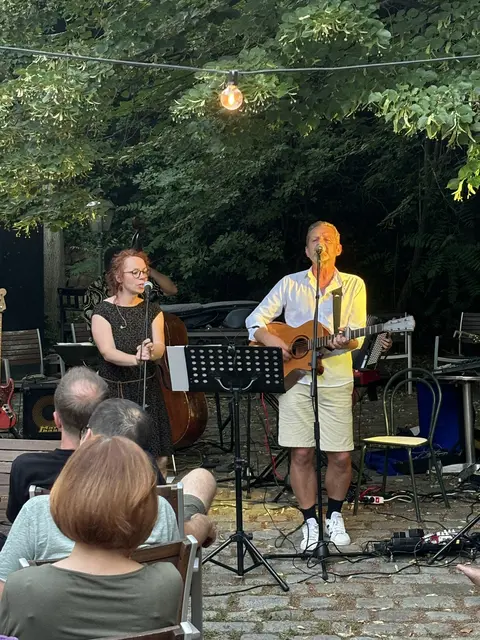Amerling begeisterte das Publikum mit toller Musik und einzigartigem Schmäh  | Foto: Lukas Leidenfrost