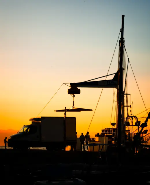 Frühschicht im Hafen: Der frisch gefangene Fisch wird im ersten Tageslicht verladen.