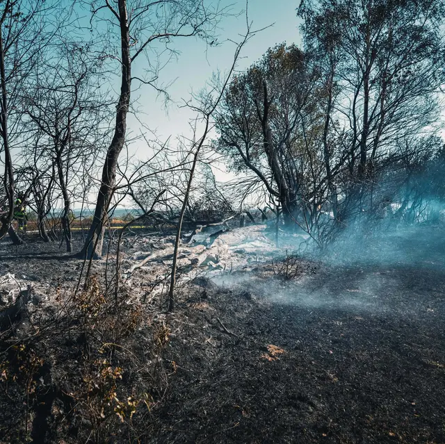 Foto: Feuerwehr Oberpullendorf