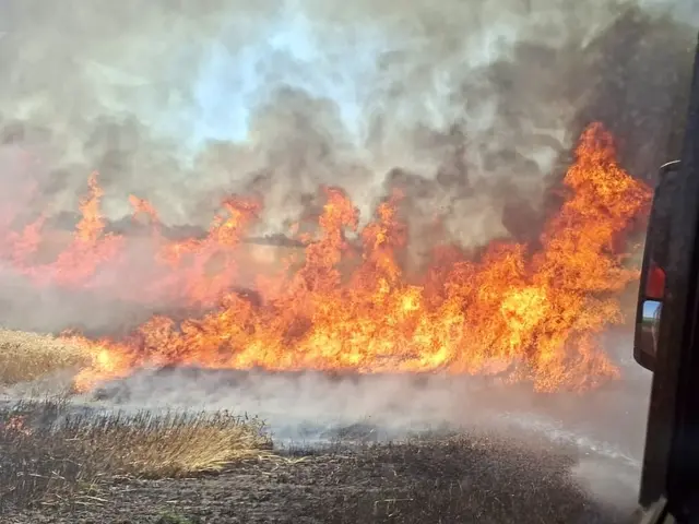 Insgesamt wurden rund 35 Hektar Feld sowie zwei Windschutzgürtel von den Flammen erfasst. | Foto: FF Schwechat & FF Mannswörth