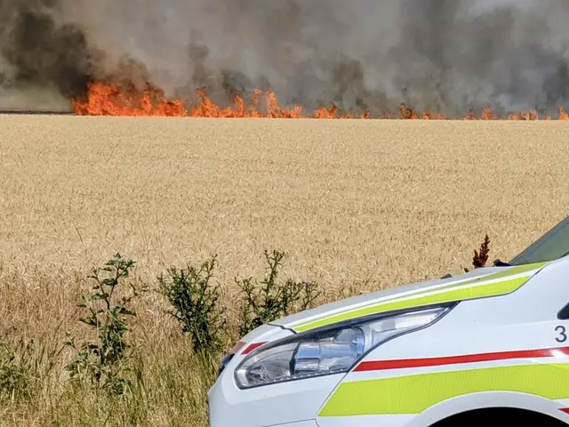 Foto: FF Schwechat & FF Mannswörth
