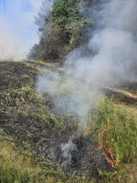 Die Feuerwehren wurden wegen Rauchentwicklung gerufen. | Foto: FF Alland