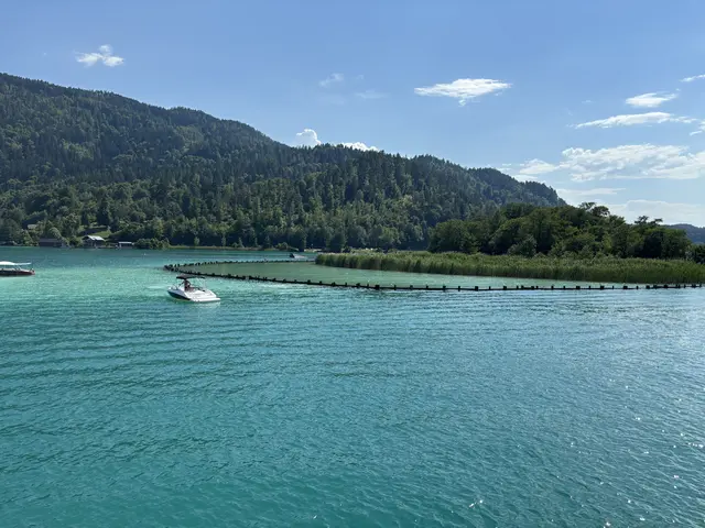 Der Wörthersee braucht mehr Schutzzonen für Schilf und Co.  | Foto: MeinBezirk/Kanatschnig
