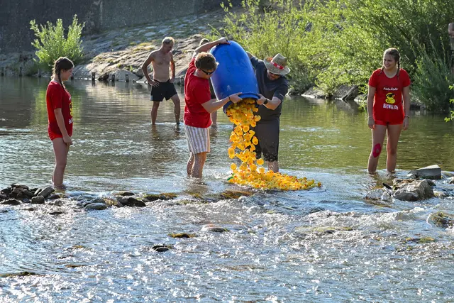 Auf die Plätze; Entchen, LOS!!!! | Foto: Gloimüller Karl