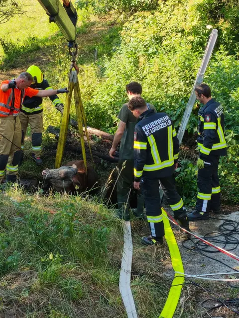 Foto: Freiwillige Feuerwehr St. Lorenzen im Mürztal