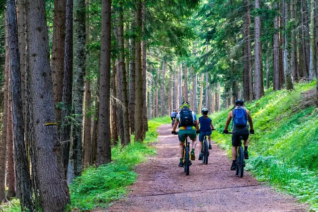 Der Respekt zwischen Mountainbikern und Grundstücksbesitzern soll ausgebaut werden. | Foto: pixabay / MaBraS