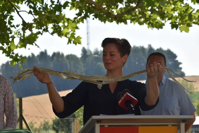 Foto: MeinBezirk/Michael Strini