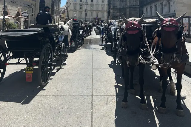 Der ÖTV dokumentierte einige Kutscher, die laut eigenen Beobachtungen unter Sonnenschirmen Schutz gefunden, während die Pferde eingespannt auf die Fahrgäste gewartet haben.  | Foto: ÖTV