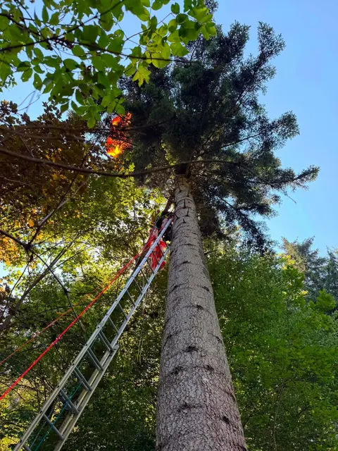 Der Verletzte wurde von der Feuerwehr Feistritz ob Bleiburg, der Bergrettung Bad Eisenkappel sowie der Alpinpolizei gerettet. | Foto: Feuerwehr Feistritz ob Bleiburg