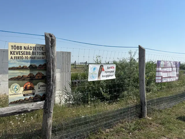 "Mehr Schilfdächer, weniger Beton an den Ufern des Neusiedler Sees", steht auf einem Plakat des Vereins Freunde des Neusiedler Sees. | Foto: Dorottya Fejes/MeinBezirk