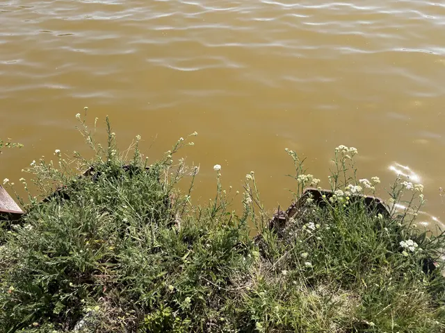 Rund um das Ufer wurde eine Spundwand eingebaut. | Foto: Dorottya Fejes/MeinBezirk