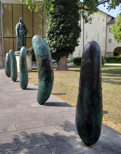 Foto: H.Bachinger
