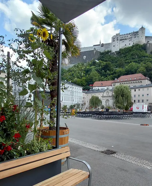 Links eine kleine grüne Oase am Kapitelplatz | Foto: H.Bachinger