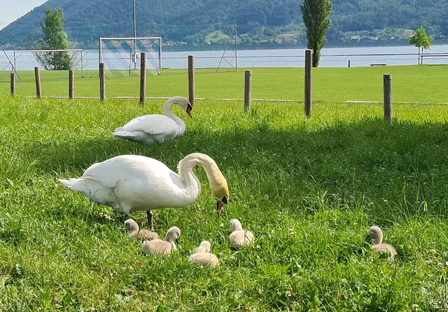 Landausflug...