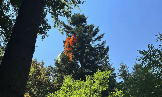 Aufgrund von Turbulenzen musste ein 50-jähriger Paragleiter im Talbereich der Petzen notlanden. | Foto: Feuerwehr Feistritz ob Bleiburg