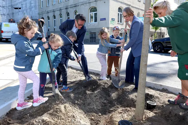 Insgesamt wurden 33 neue Bäume gepflanzt. | Foto: Stadt Wien/Martin Votava