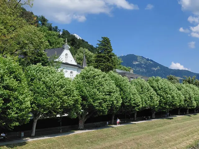 An der Salzach  | Foto: H.Bachinger