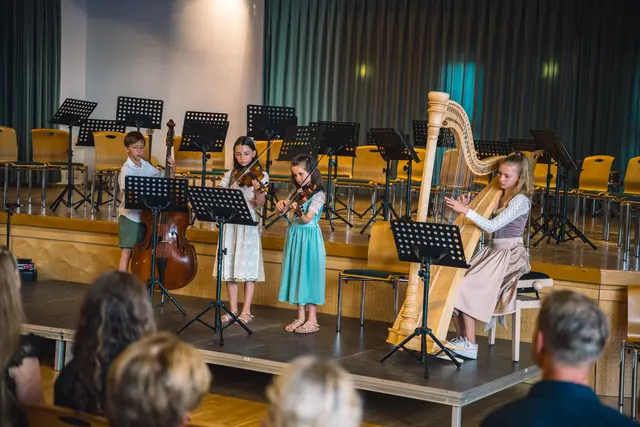 Das Volksmusikensemble spielte Bauernmadl und sorgte für großen Applaus | Foto: Pernsteiner
