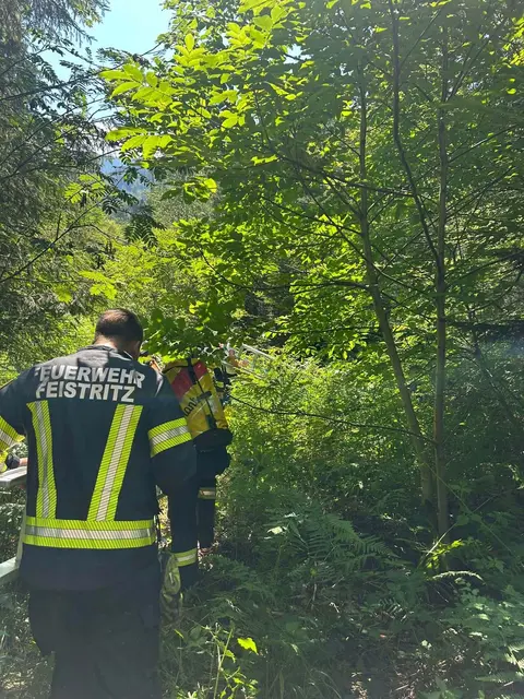 Foto: Feuerwehr Feistritz ob Bleiburg