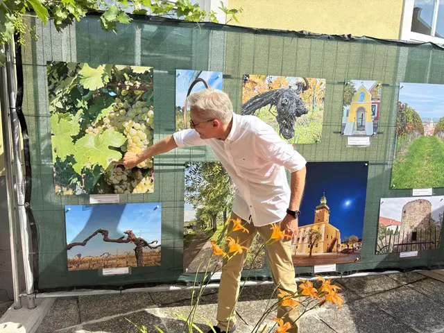 Auch kleine Details stehen bei den Fotografien im Mittelpunkt, wie hier die Fliege. | Foto: Alexandra Goll