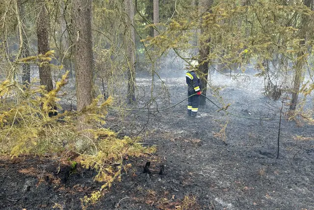 Feuerwehren aus dem Bezirk Waidhofen/Thaya helfen beim Löscheinsatz in Tschechien. | Foto: BFK WT/A. Zainzinger