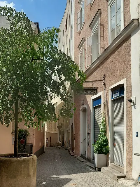 Foto: H.Bachinger