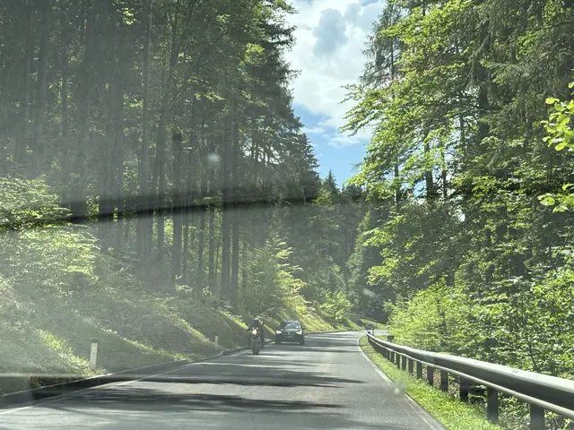 In Hörzendorf, Bleiburg und Wolfsberg kam es am Wochenende in Kärnten zu Motorradunfällen. (Symbolfoto) | Foto: MeinBezirk/Lea Kainz