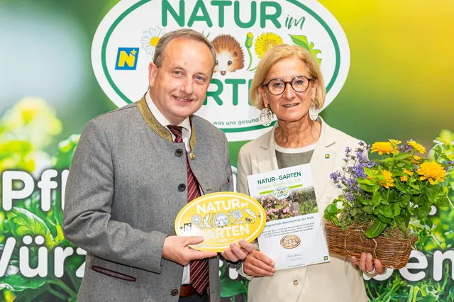 Goldener Igel für die Marktgemeinde Oberndorf an der Melk | Foto: Johannes Ehn/Natur im Garten