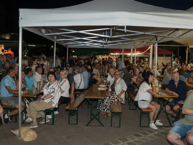 Das Fest der Vereine lockte an beiden Tagen zahlreiche Besucherinnen und Besucher ins Ortszentrum von Volders. | Foto: WALTER MORRI