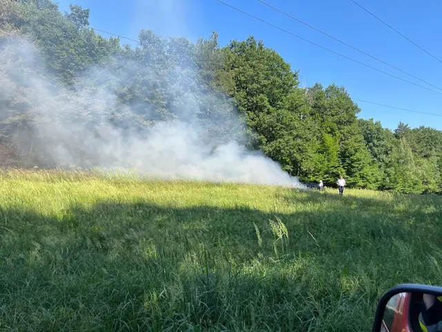 Entstehender Waldbrand bei Alland. | Foto: FF Alland