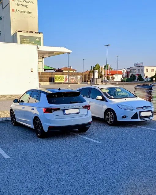 Diese zwei Kunstparker blockieren gleich drei Parkplätze. Doch vielleicht hat sich der eine nur dem anderen angepasst, weil es nicht anders ging? | Foto: privat